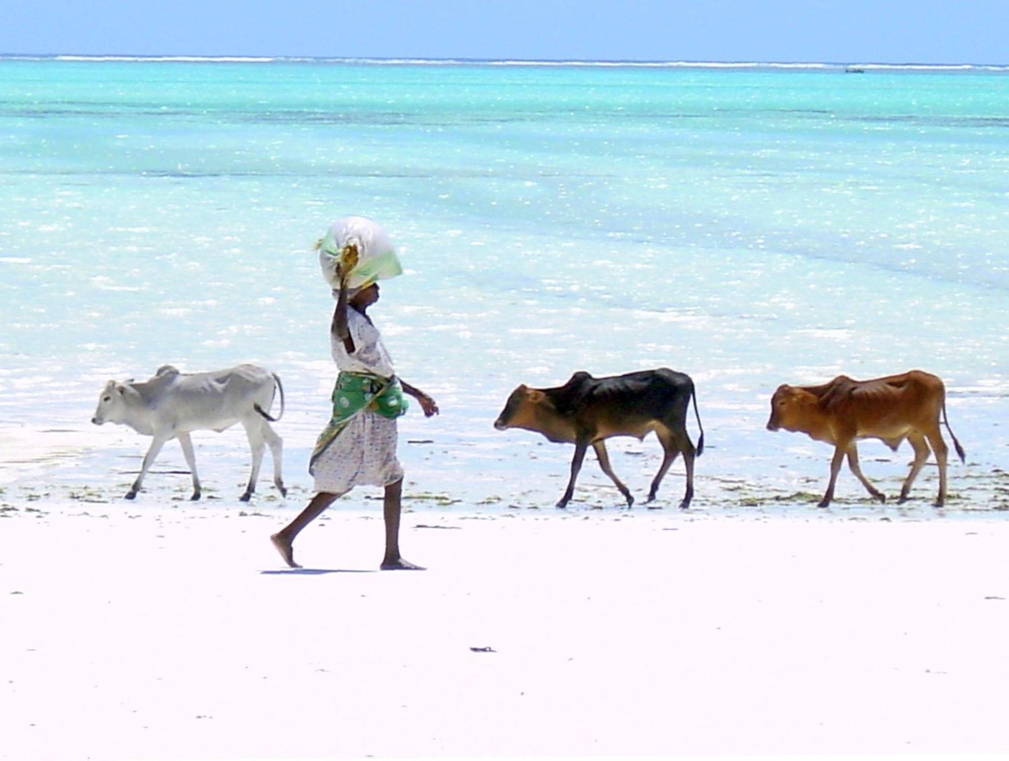 Villa Bahati Zanzibar Jambiani  Extérieur photo